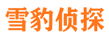 察隅侦探公司